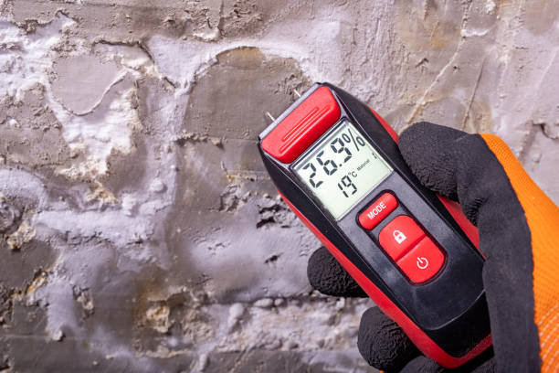 Best Residential Mold Remediation in Diamond Bar, CA