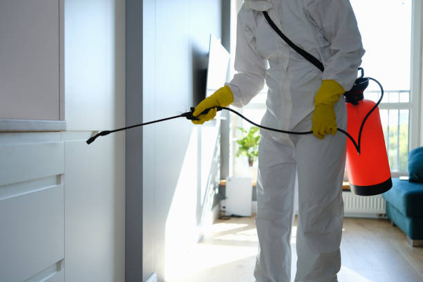 Best Kitchen Mold Remediation in Diamond Bar, CA